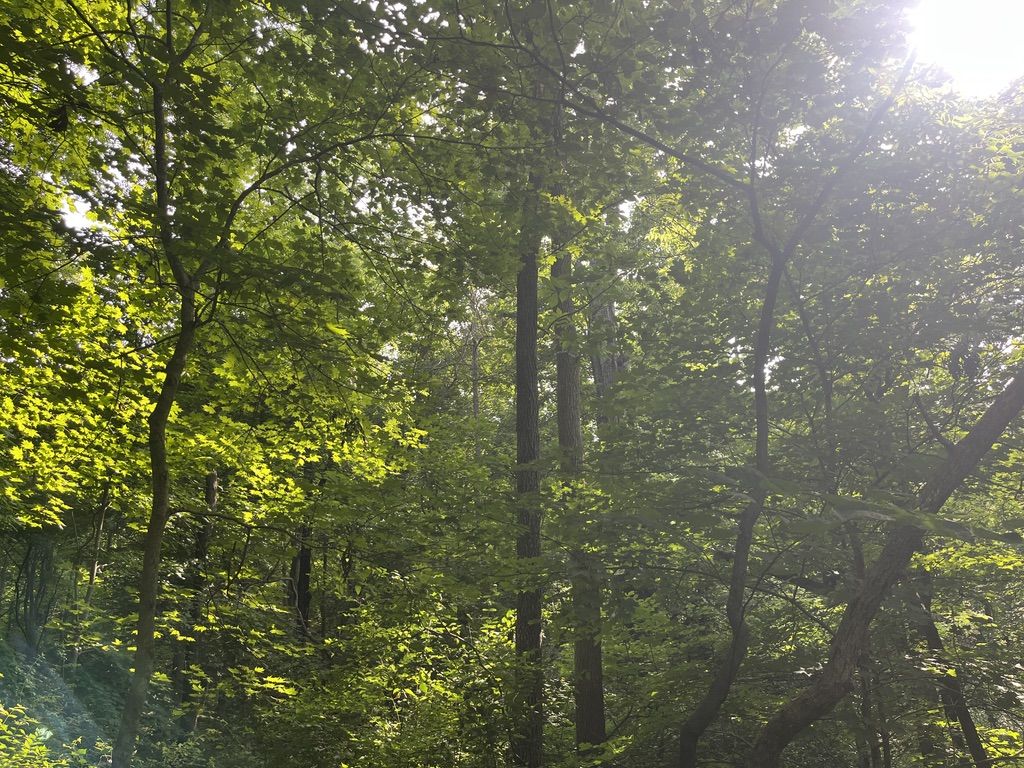 _2025-06-15 Hiking church.jpeg