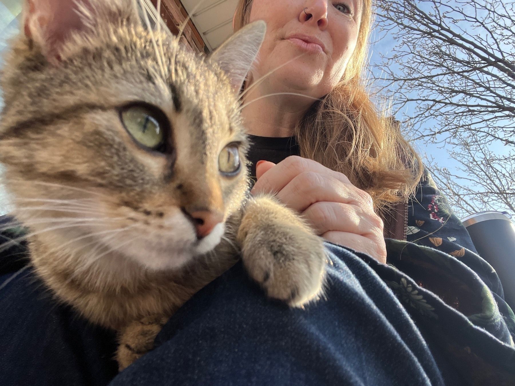 A very close view of a small gray tabby cat with wide eyes looking up from a woman’s lap, with sky behind them