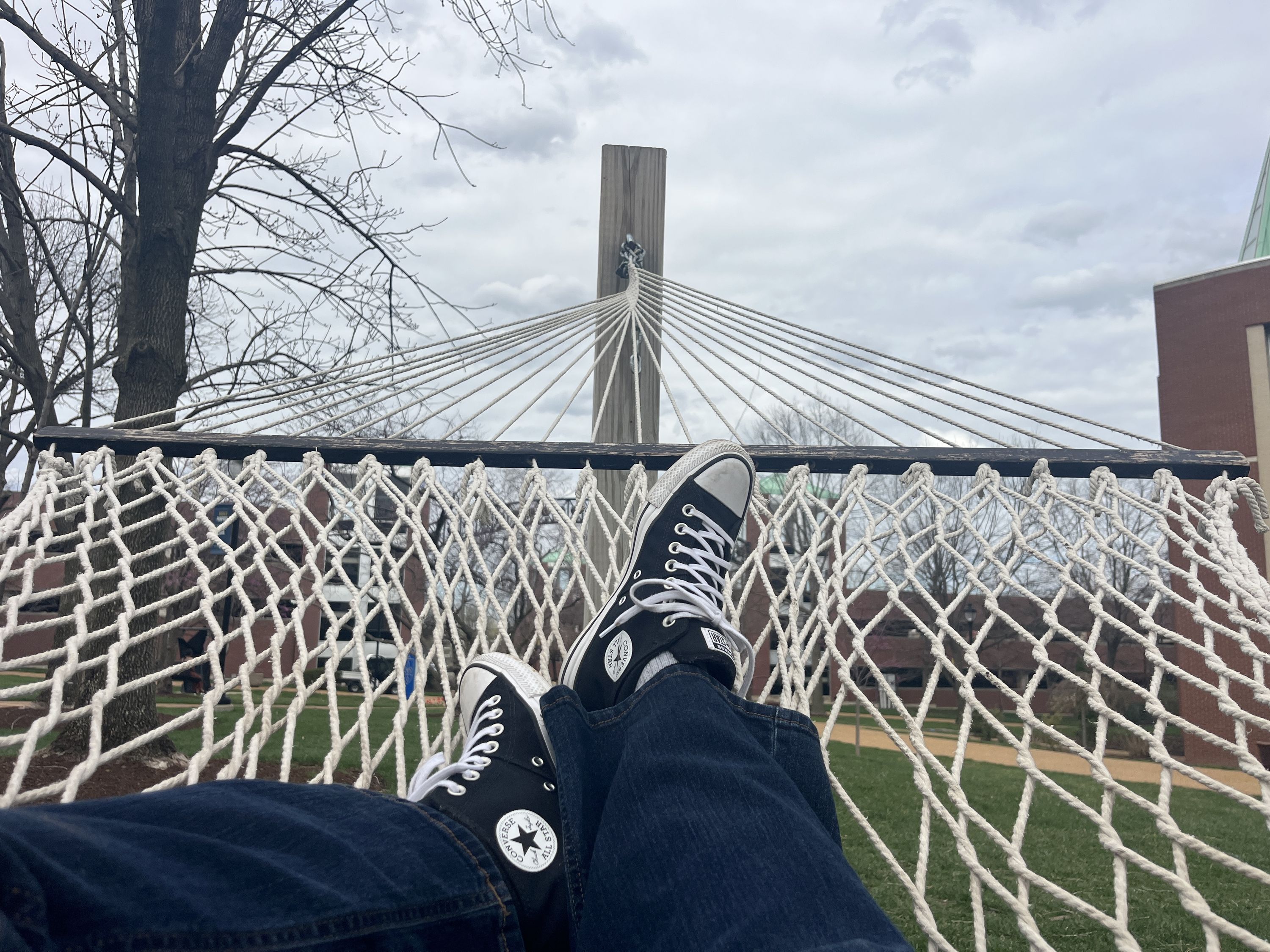 Hammock moment