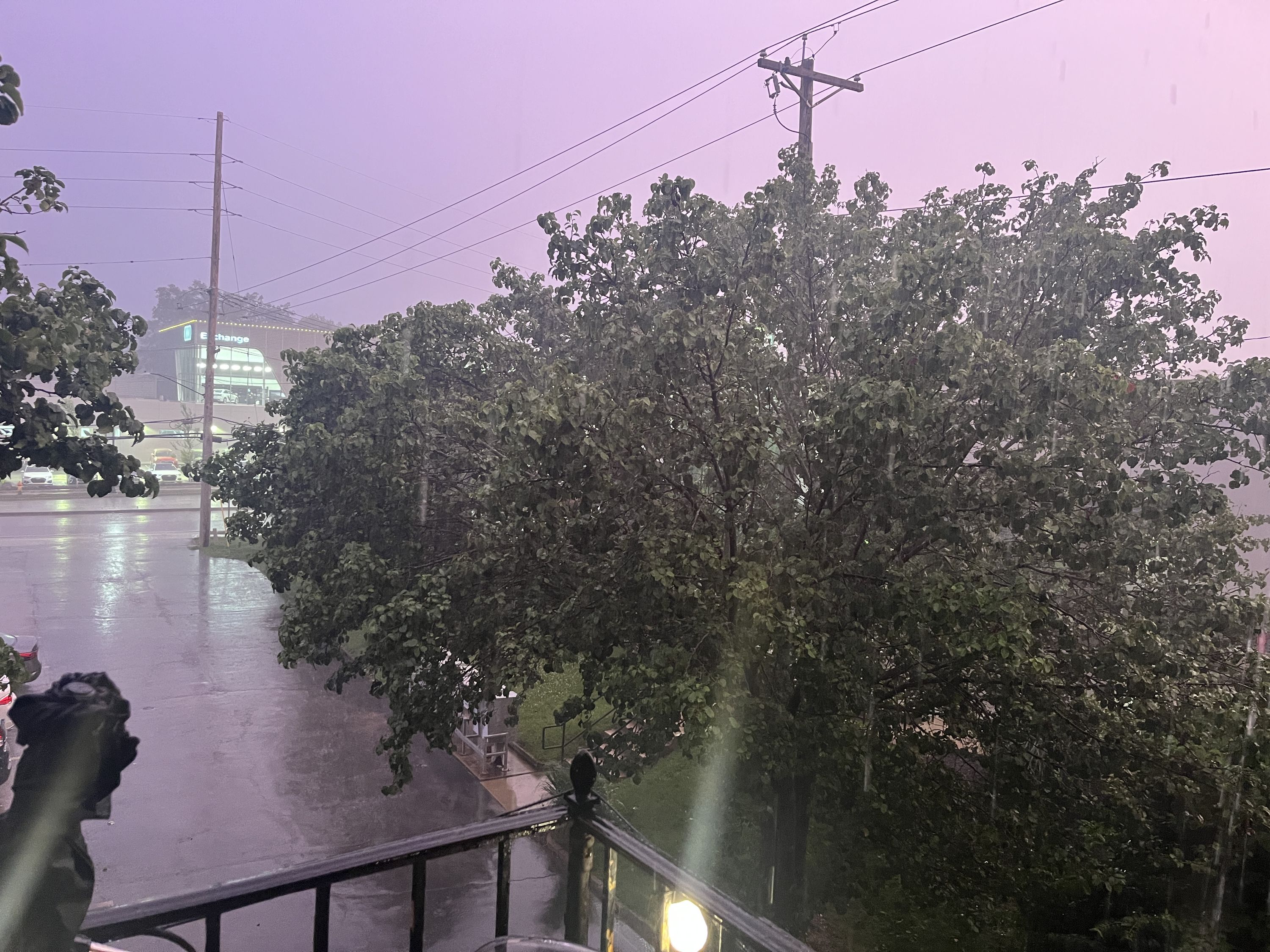 Purple rain