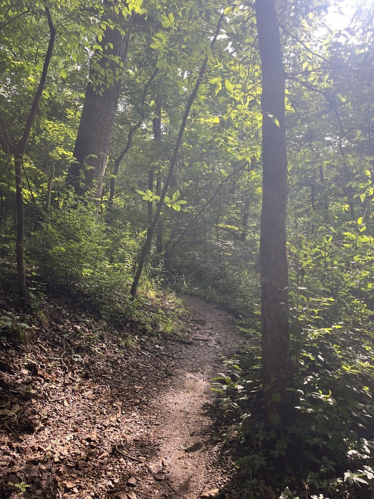 _2025-06-15 Hiking church trail.jpeg