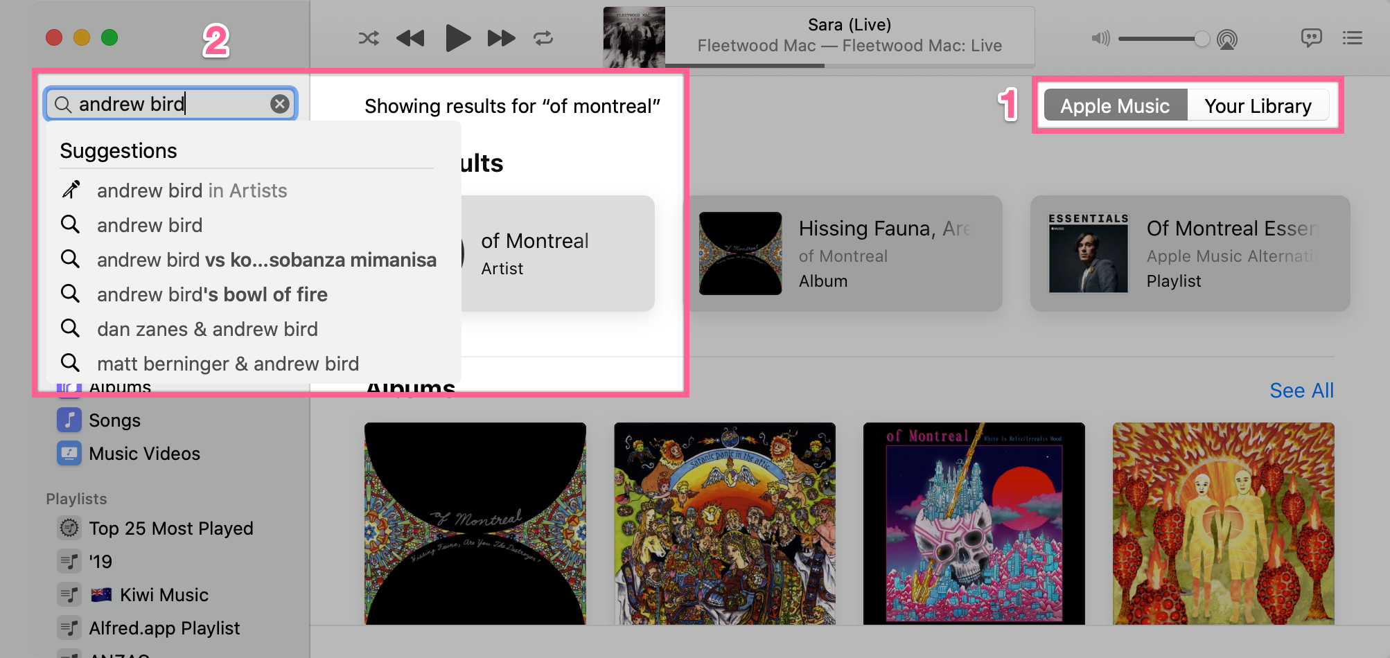 Example search in Apple Music
