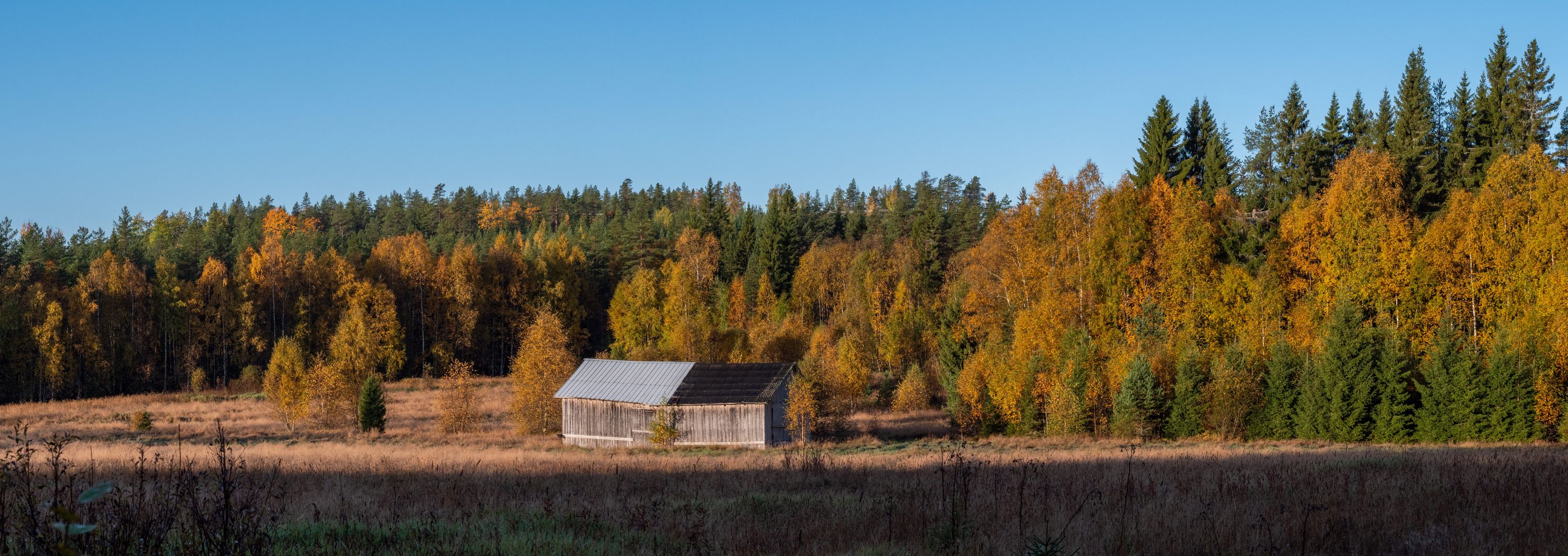 The abandoned barn