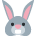 🐰