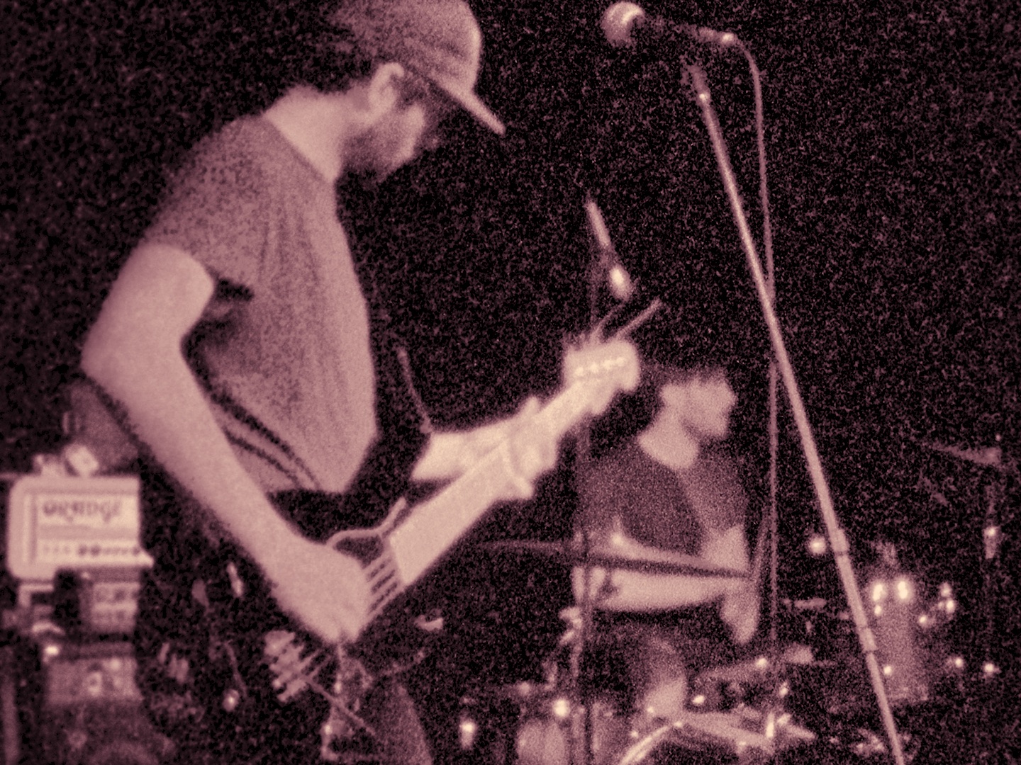 Skylark