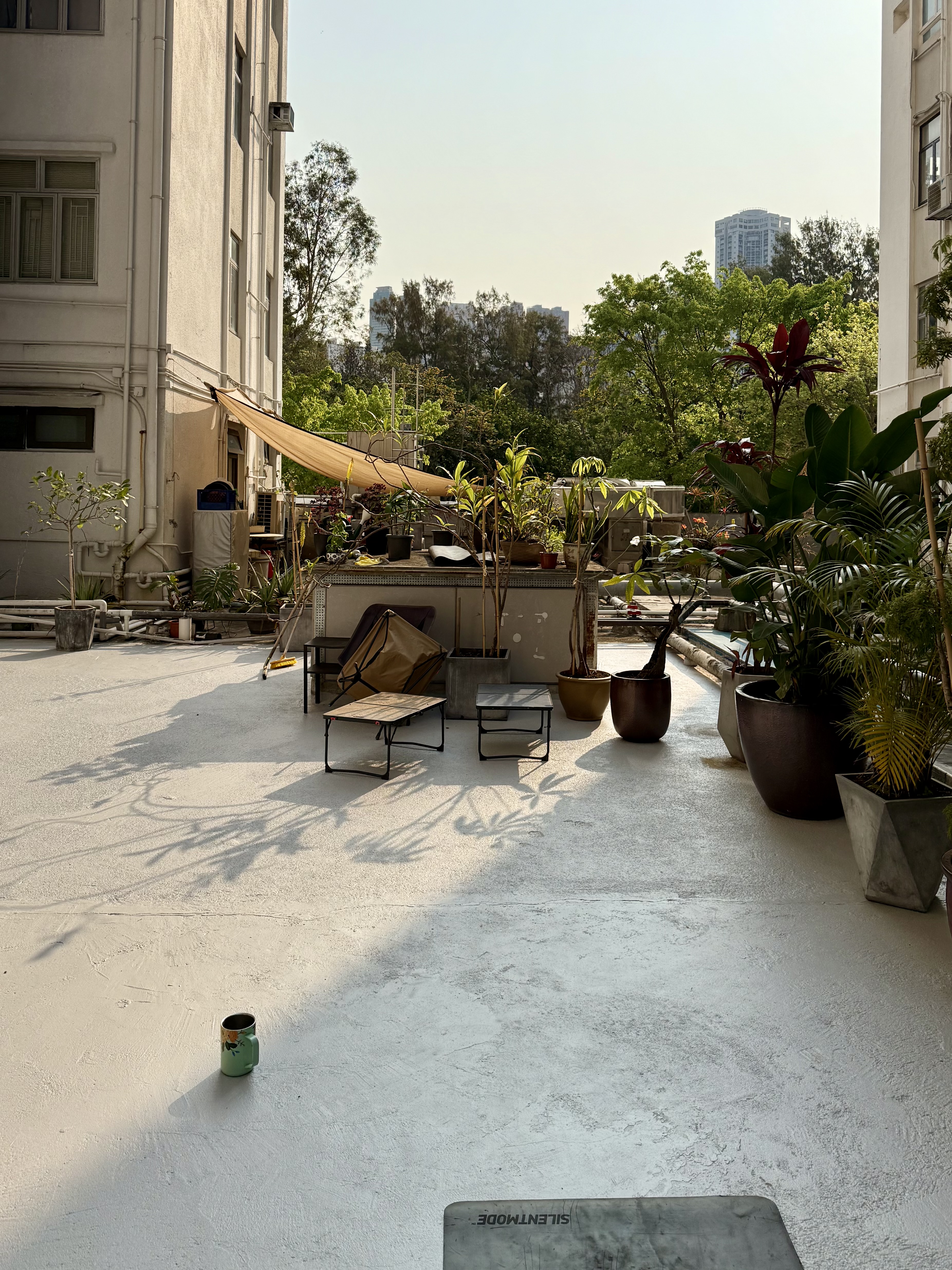 a sliver of Victoria Park and the sun on our rooftop