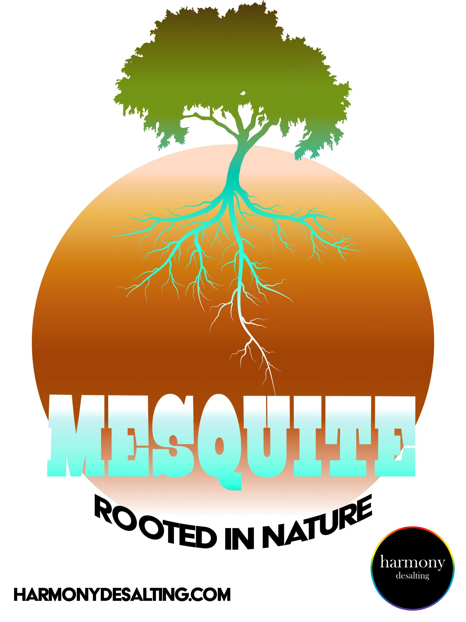 We call this project 'Mesquite' because it draws water from deep below the ground, like the Mesquite tree. We call this project 'Mesquite' because it draws water from deep below the ground, like the Mesquite tree.