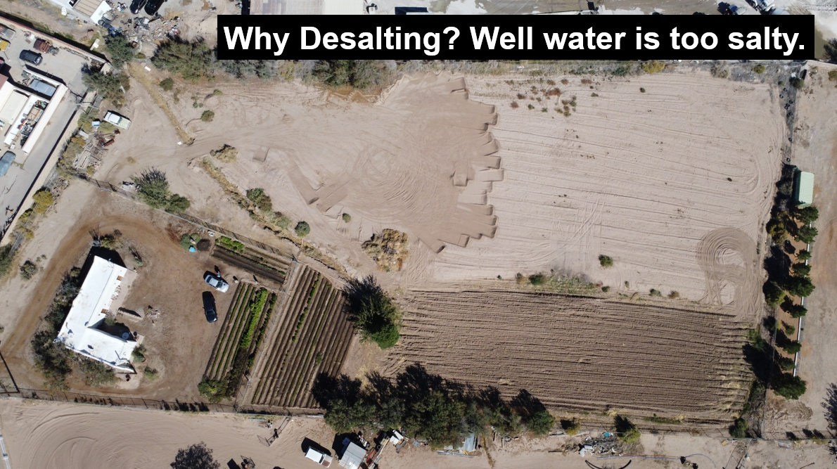 The well water at 232 S. Nevarez is too salty (Total Dissolved Solids = 2,460 mg/L) for growing wine grapes. The well water at 232 S. Nevarez is too salty (Total Dissolved Solids = 2,460 mg/L) for growing wine grapes.