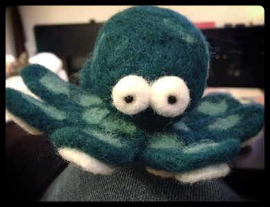 Completed Woolbuddy Octopus!
