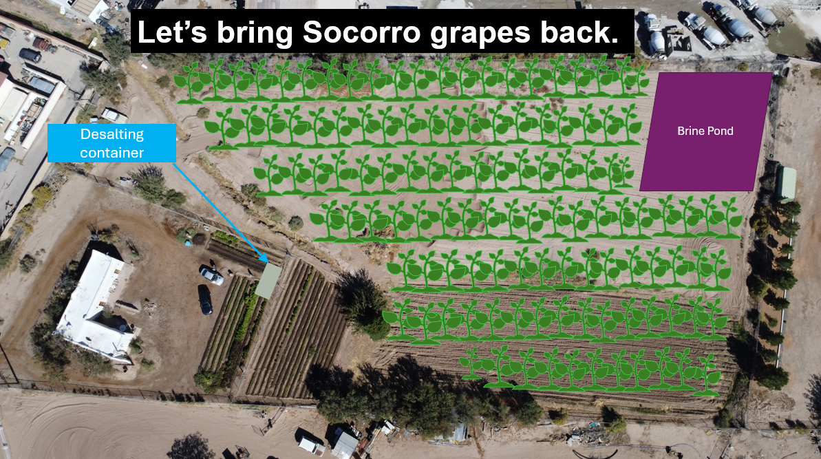 Together, we aim to bring Mission grapes back to Socorro, TX. Together, we aim to bring Mission grapes back to Socorro, TX.