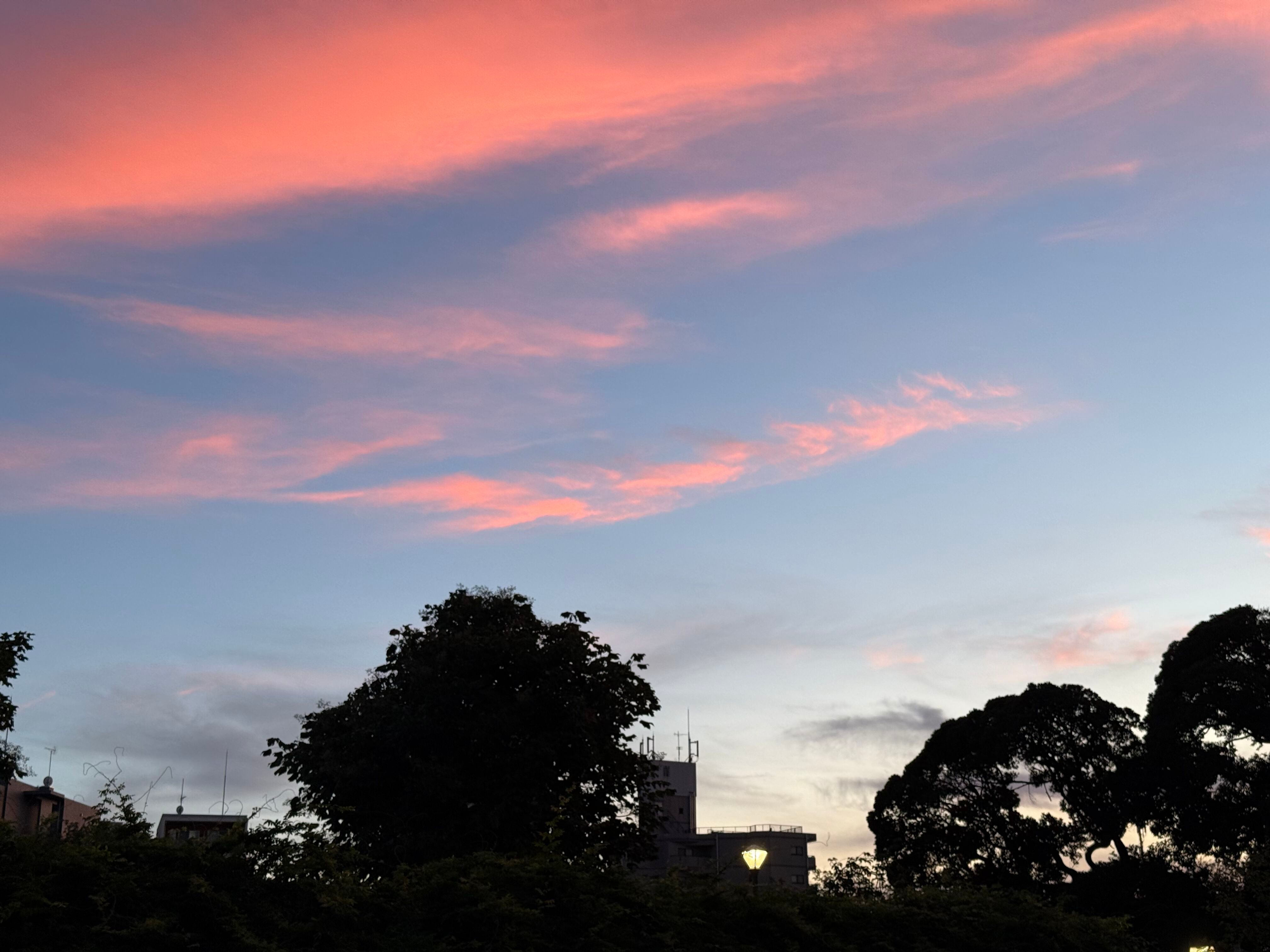 The momentary pink across the clouds as the sky fades to black