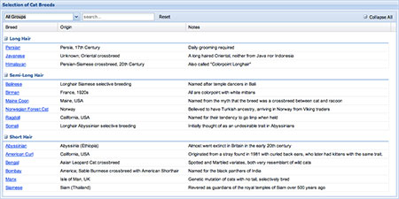 ExtJS Grouping Grid