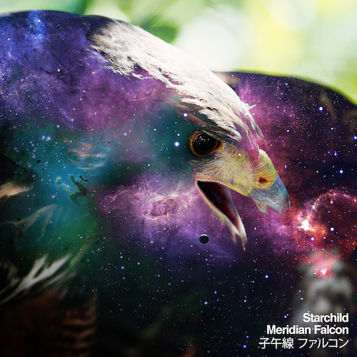 meridian falcon smaller